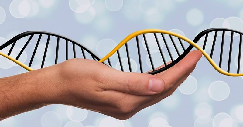 Différences d'ADN et ARN
