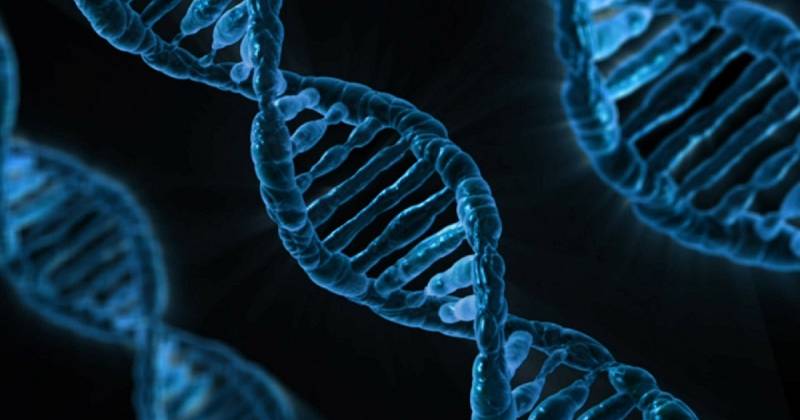 Adakah kita hamba gen kita?