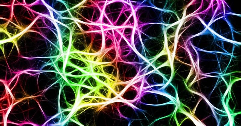 Espejo-neuronit ja sen merkitys neuro-kuntoutuksessa